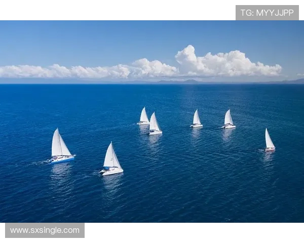 武汉极限运动队的控制得失分析与未来发展展望